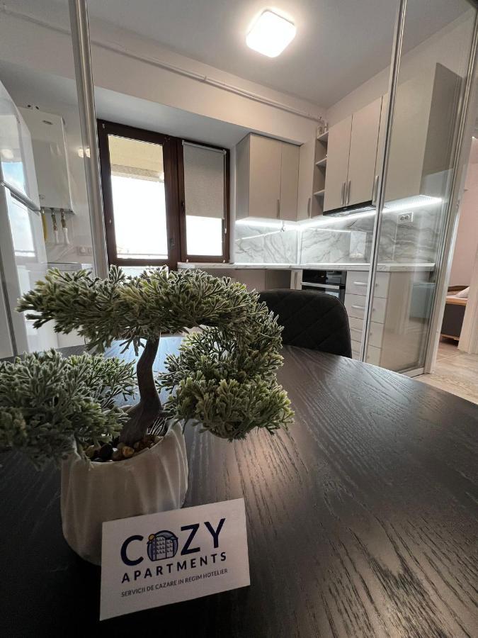 Cozy Apartments - City Center Iasi Eksteriør billede